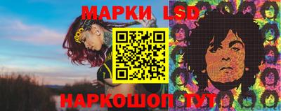 apvp Краснодар