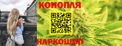 apvp Краснодар