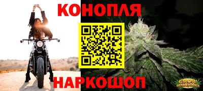 Альфа ПВП Краснознаменск