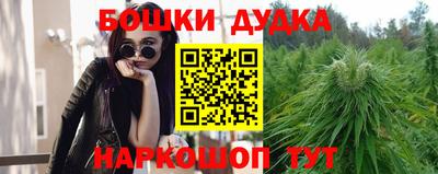 apvp Краснодар