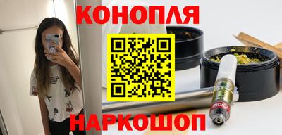 Альфа ПВП Краснознаменск